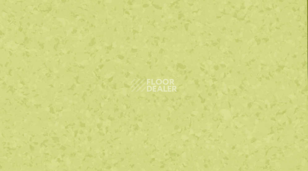 Линолеум Mipolam Symbioz 6027 ACCACIA фото 1 | FLOORDEALER